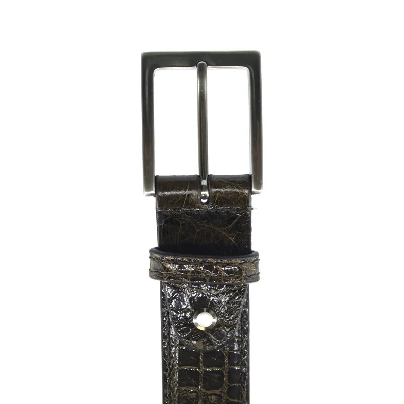 70-100-NIC ALLIGATOR Belt, Nicotine