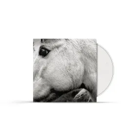 Bonny Light Horseman (CD)