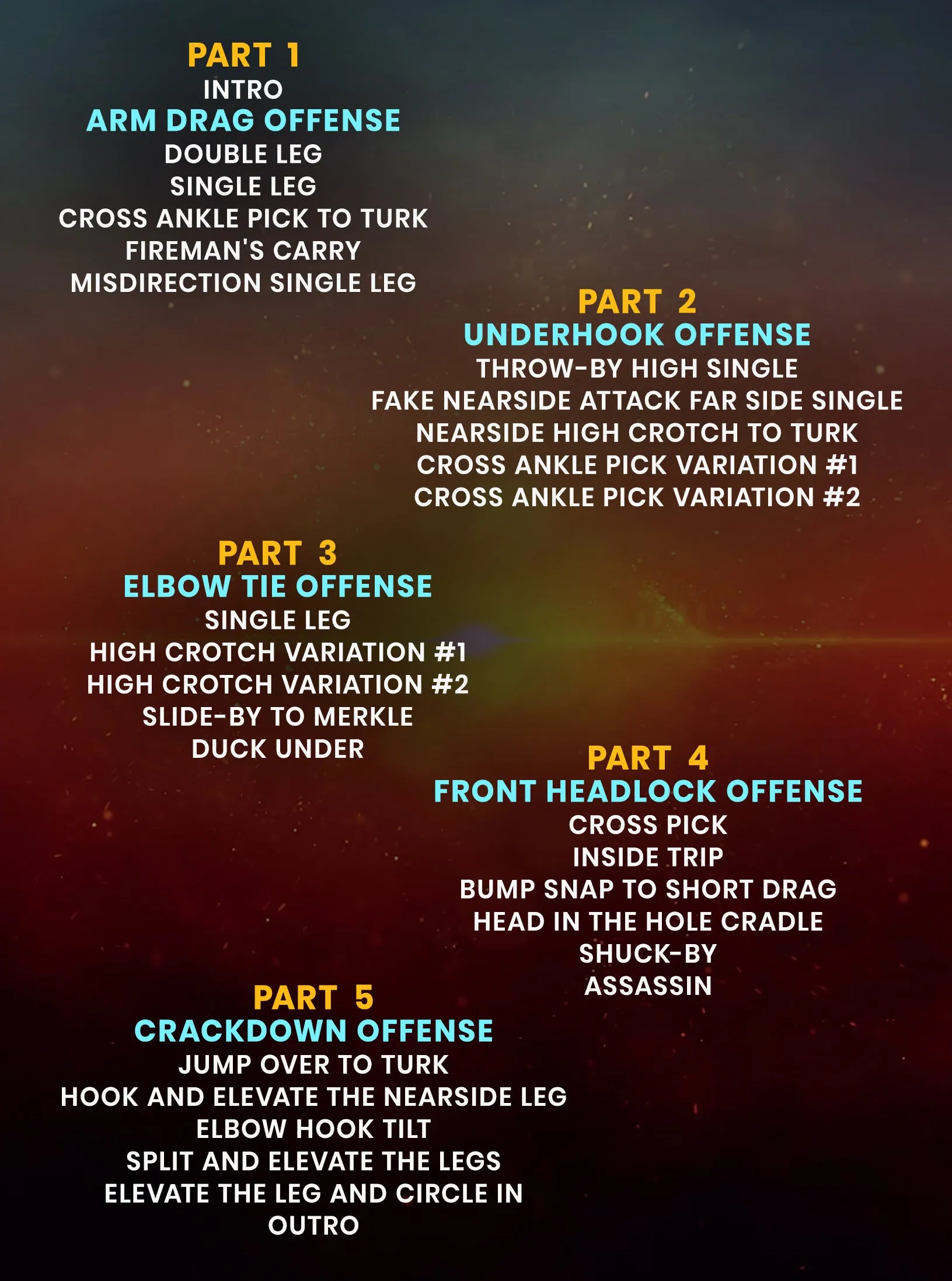 Championship Takedown Offense by Shane Griffith