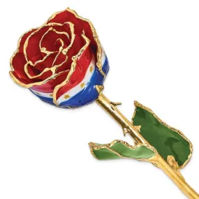 Liberty Rose with Gold Trim