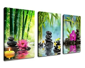 WALL ART ZEN PAINTING SPA CANVAS ART 20"X30" 3 PANELS FRAMED READY TO HANG - EXTRA LARGE CONTEMPORARY ARTWORK PRINT FOR HOM OFFICE DECORATION FRANGIPANI BLACK MASSAGE STONE GREEN BAMBOO WATERLILY