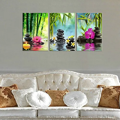 WALL ART ZEN PAINTING SPA CANVAS ART 20"X30" 3 PANELS FRAMED READY TO HANG - EXTRA LARGE CONTEMPORARY ARTWORK PRINT FOR HOM OFFICE DECORATION FRANGIPANI BLACK MASSAGE STONE GREEN BAMBOO WATERLILY